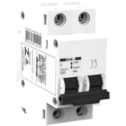 DISJUNTOR DIN BIPOLAR C  20A